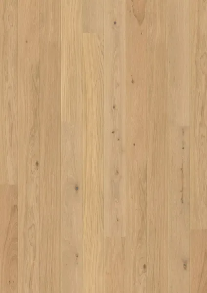 JOKA CALGARY 527 LD EDITION – E3904 Eiche nova geb. NATURE VP